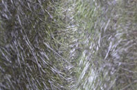 Aspenden fibreglass roof work